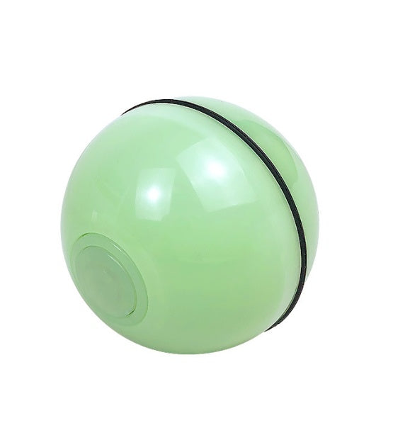 Electronic Interactive Pet Toy