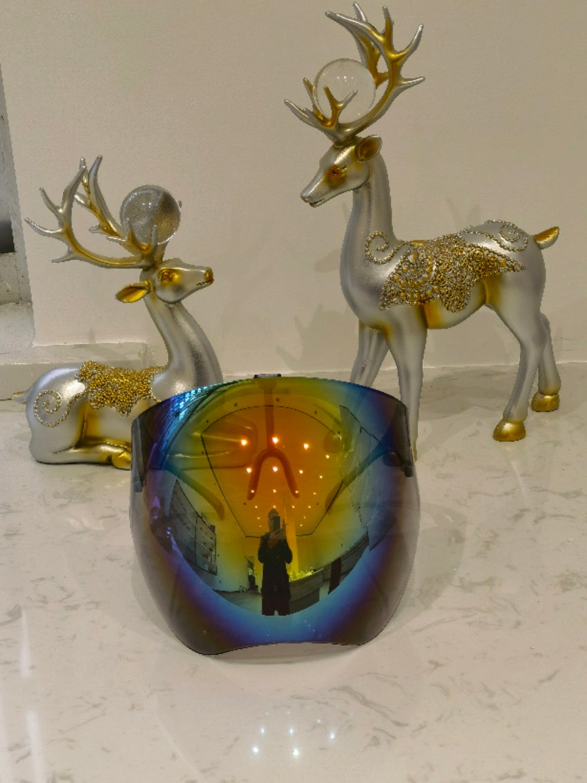 Protective Face Shield Safety Glasses