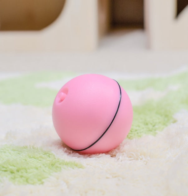 Electronic Interactive Pet Toy