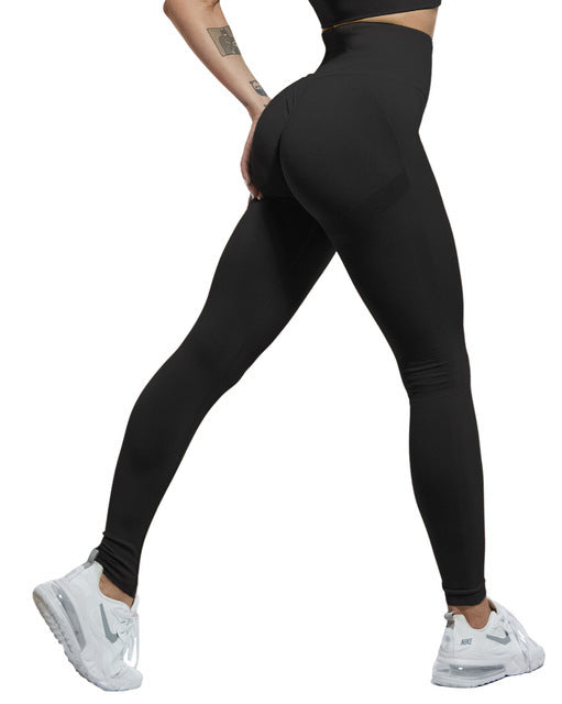 FitMuse Training Tights