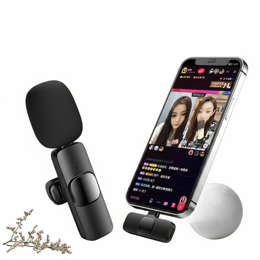 SoundPro Mini Mic