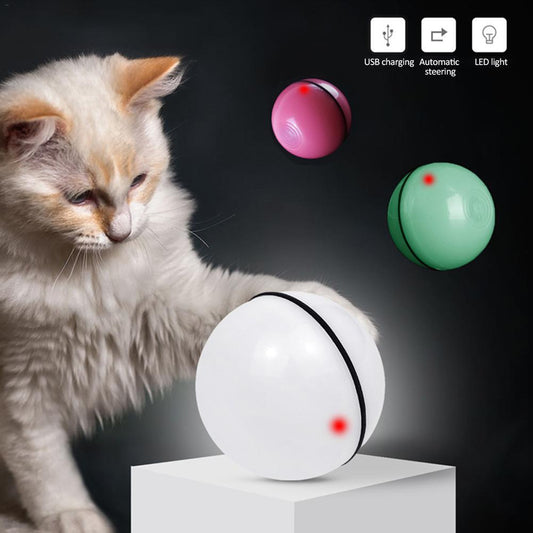 Electronic Interactive Pet Toy